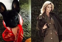 Małgorzata Rozenek kocha psy!
