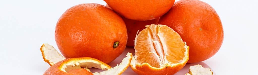 pomarańcze i grejpfruty szkodliwe dla kota